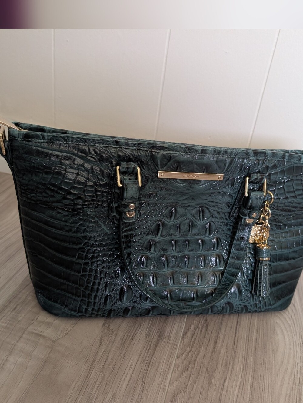 Brahmin Mini Asher